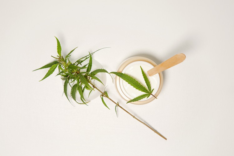 Jar of cream on a white background, next to a fresh cannabis plant with leaves and a wooden spatula resting across the rim.