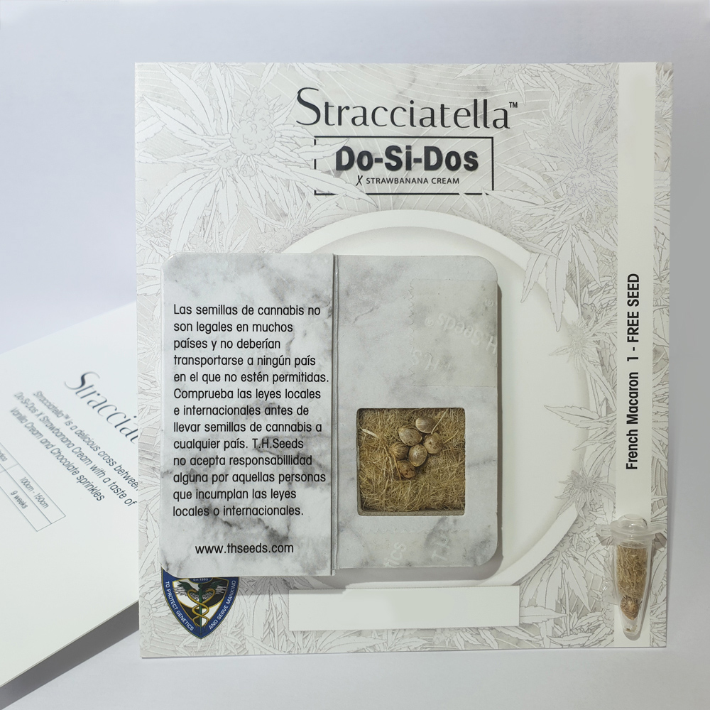 T.H.Seeds™ Cannabis Seeds Stracciatella™, rôzne balenia, feminizované 6+1 ks