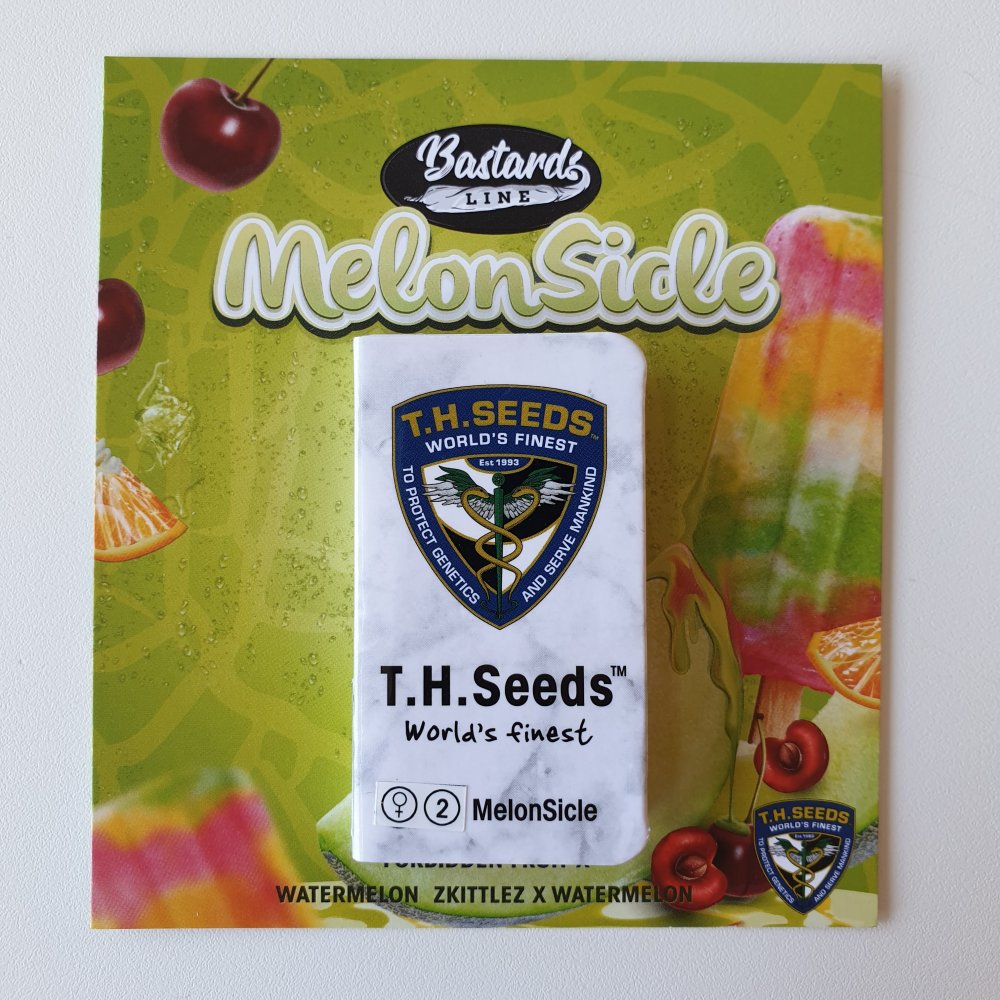 T.H.Seeds™ Konopné semienka Bastards Line: Melonsicle, rôzne balenia, feminizované 2 ks