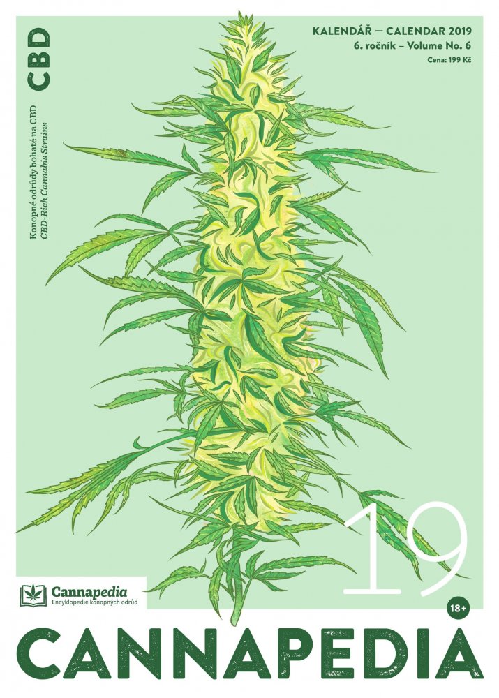 Kalendář 2019 – CBD + 5x Royal Medic