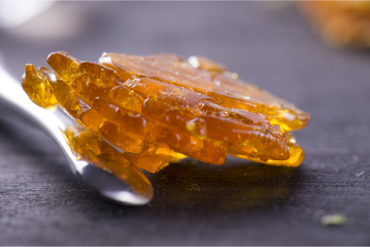 https://www.canatura.com/images/shutterstock_541470151_web.jpg