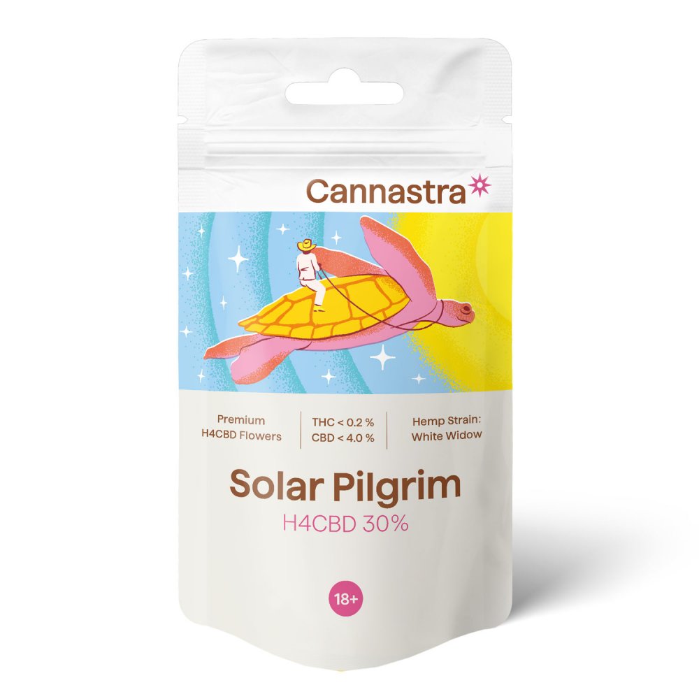 Cannastra H4CBD Bloem Zonne Pelgrim (Wit Weduwe) 30%, 1 g - 100 g