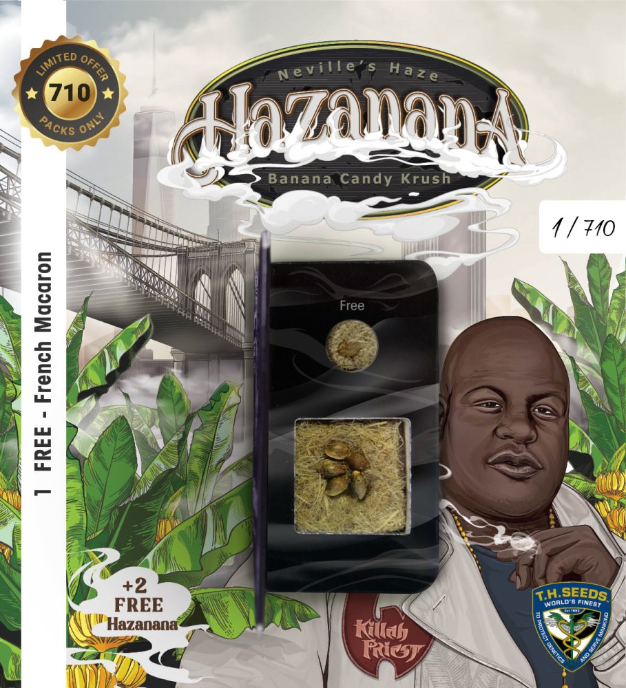 T.H.Seeds™ Semená kanabisu Hazanana, rôzne balenie, feminizované 2 ks