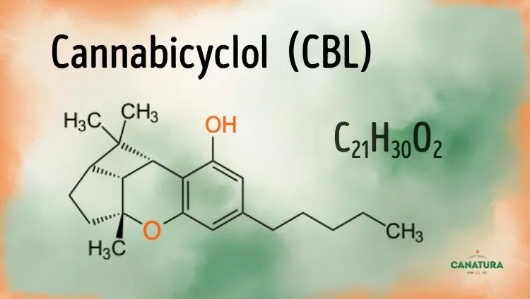Cannabicyclol