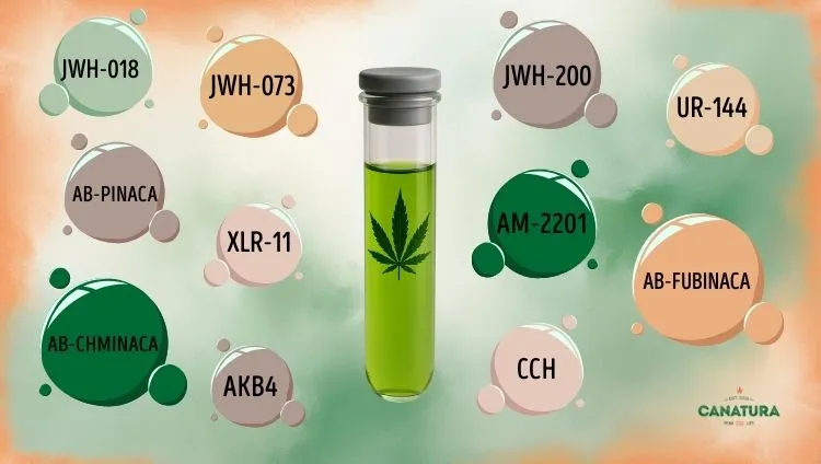 A test tube with green liquid and a cannabis leaf in the middle, surrounded by colorful bubbles with the names of synthetic cannabinoids – JWH-018, JWH-073, JWH-200, UR-144, AB-PINACA, AB-CHMINACA, XLR-11, AKB4, AM-2201, AB-FUBINACA, and CCH
