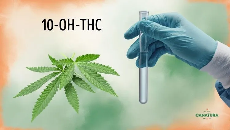 10-OH-THC, cannabis leaf and laboratory worker's hand, Canatura logo bottom right