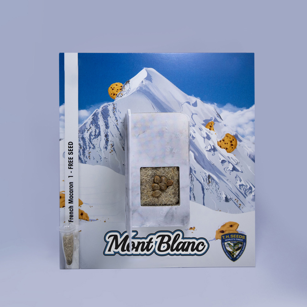 T.H.Seeds™ Semená kanabisu Mont Blanc, rôzne balenie, feminizované 6+1 ks