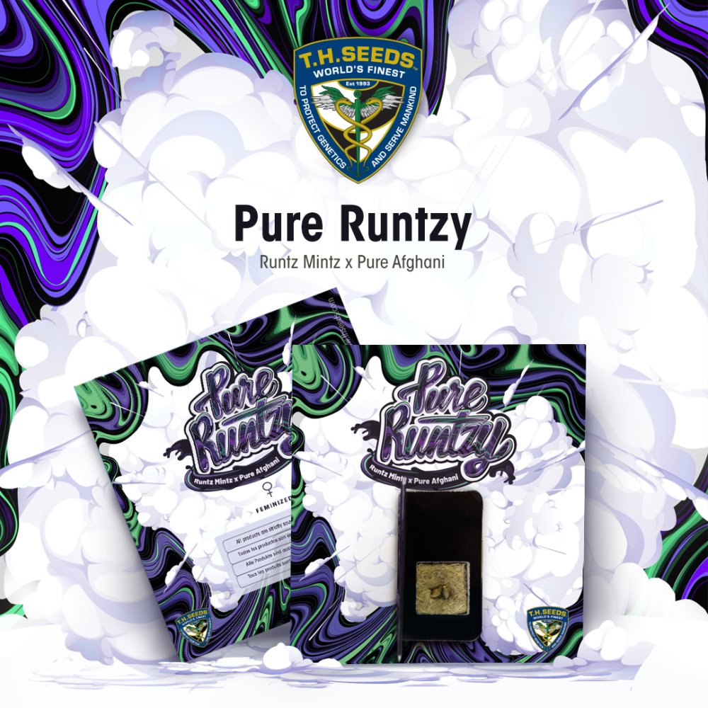 T.H.Seeds™ Cannabis Seeds Pure Runtzy, rôzne balenie, feminizované 2 ks
