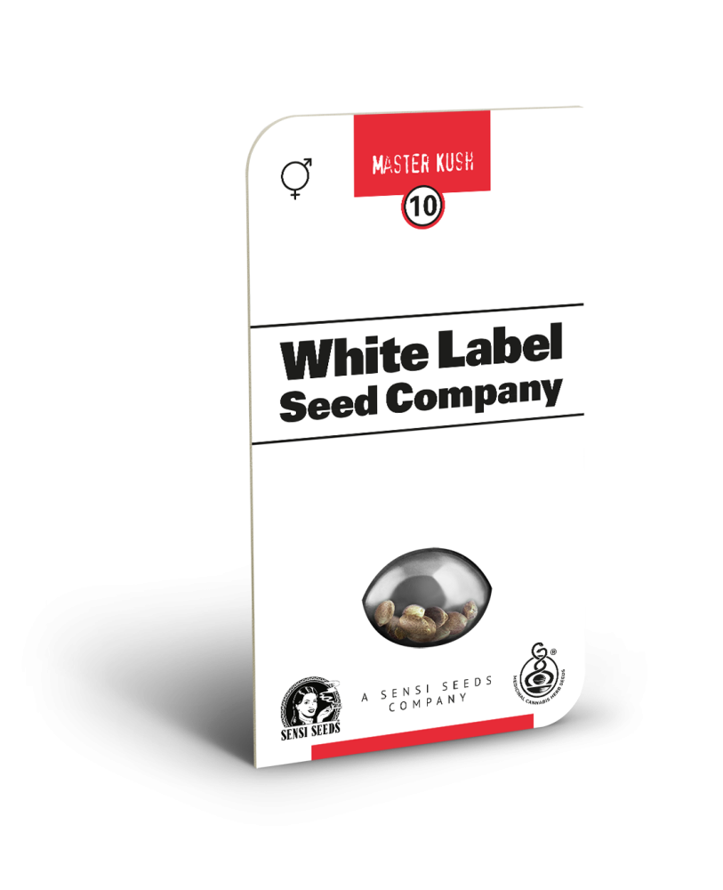 Sensi Seeds Cannabis Seeds Master Kush Regular od White Label, 10 ks