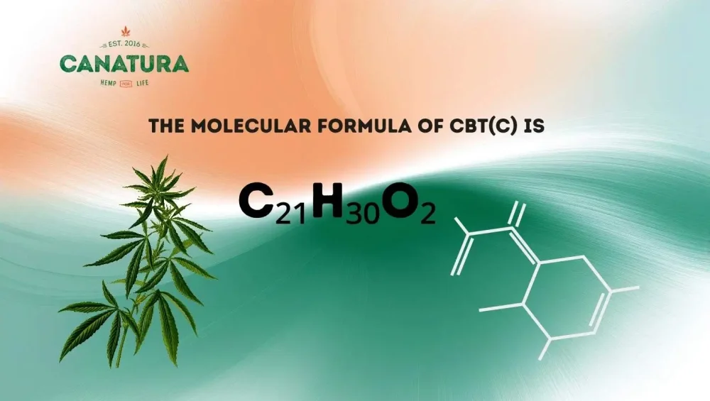 The molecular formula of CBT(C) is C21H30O2