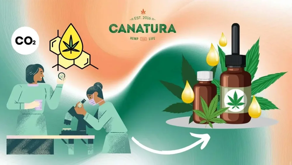 The process of CBT(C) oil formation: CO₂ extraction