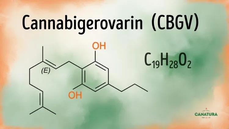 Cannabigerovarin CBGV