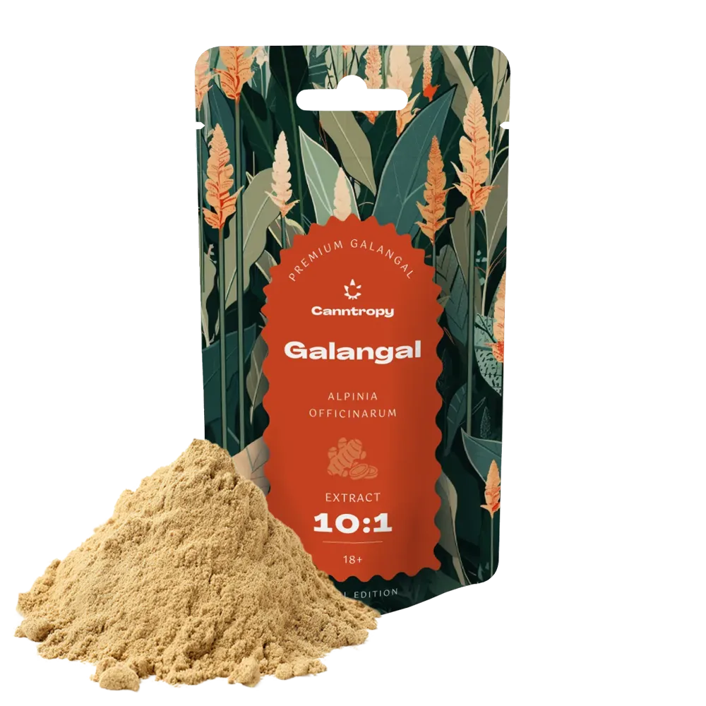 Canntropy Galangal (Alpinia officinarum), Extract 10:1, 10 - 100 g 25 gramov
