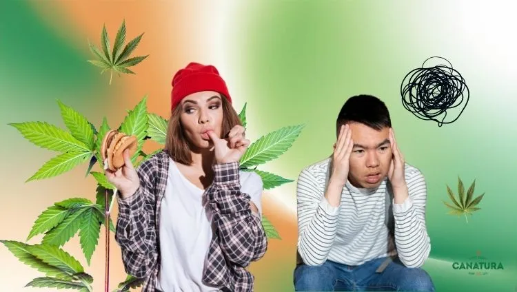 Illustration of possible effects of delta-8-THC, such as stimulating appetite and relieving anxiety, Canatura logo at bottom right