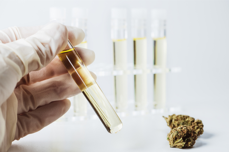 Tests auf Drogen und CBD