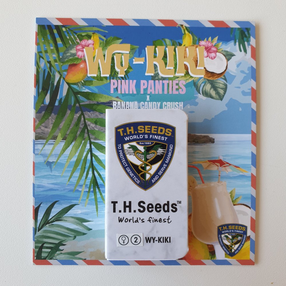 T.H.Seeds™ Semená kanabisu Wy-Kiki, rôzne balenie, feminizované 2 ks