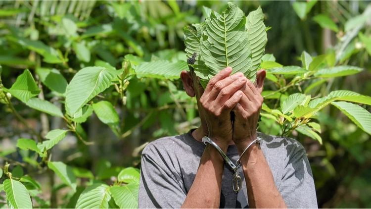 Kratom