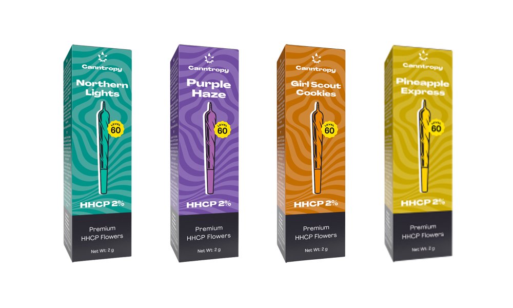 Canntropy HHCP preroll-bundel, alles-in-één set - 4 x 1 stuks
