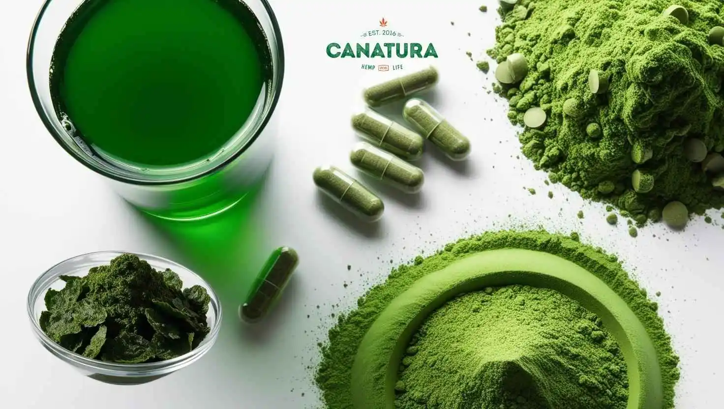 Green food chlorella in the form of powder, algae, drink and tablets, complete with Canatura logo