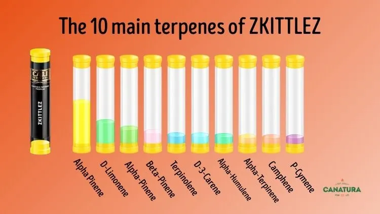 Illustrative image of the 10 main terpenes in a product called ZKITTLEZ, with the Canatura logo in the bottom right corner