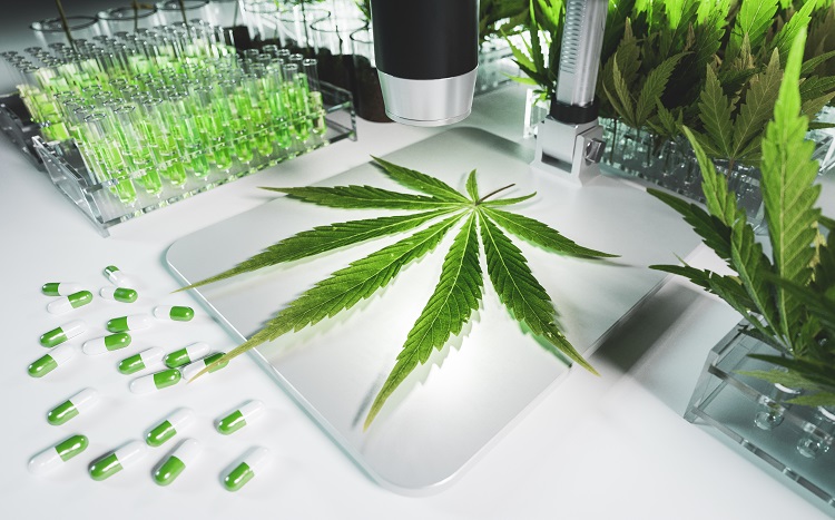 Laboratory environment with cannabis leaf, vial with H4CBD distillate