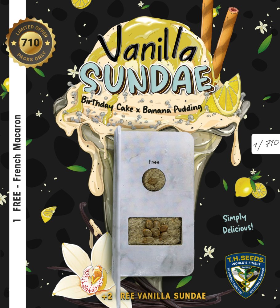 T.H.Seeds™ Semená kanabisu Vanilla Sundae, rôzne balenie, feminizované 7+1 ks