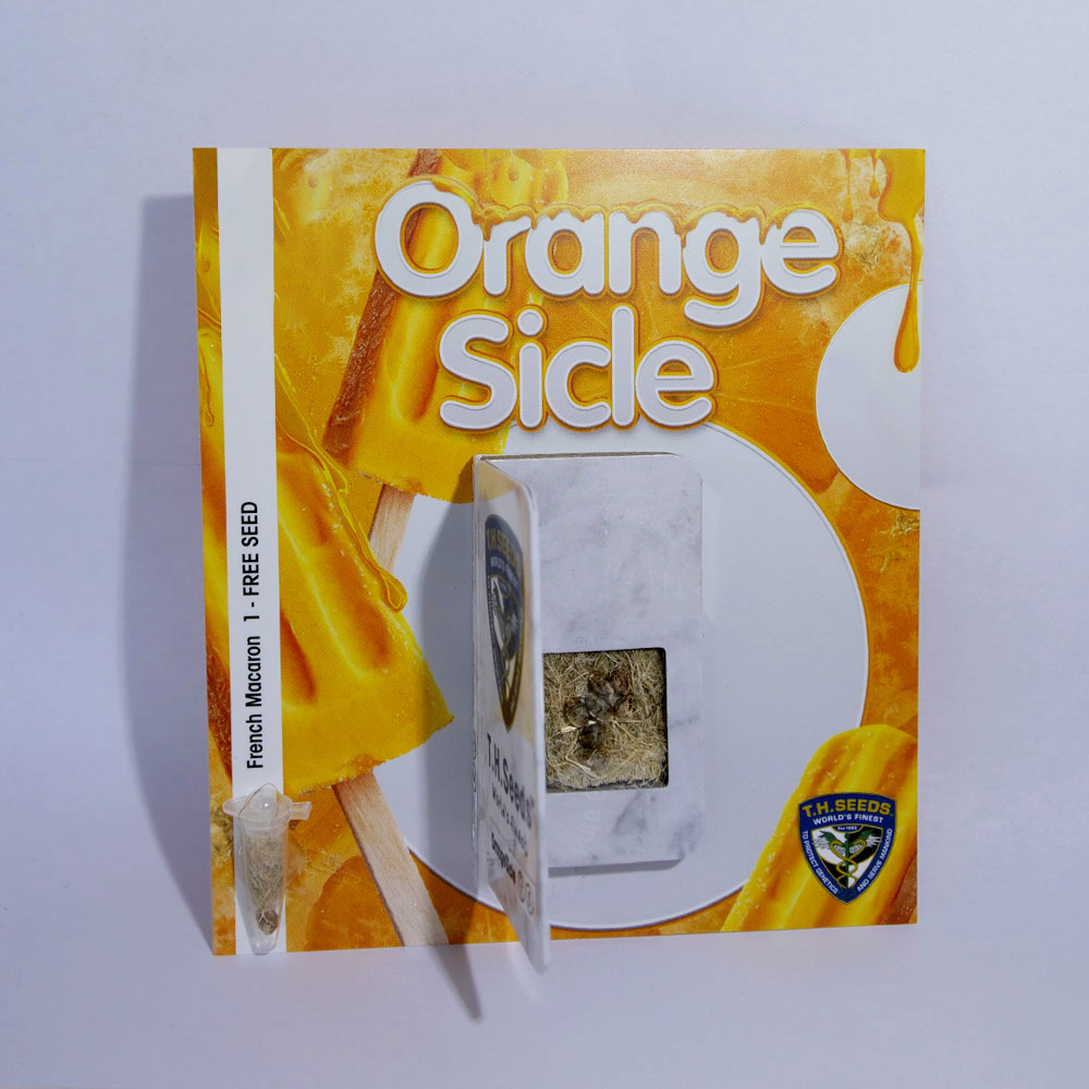 T.H.Seeds™ Semená kanabisu Orangesicle, rôzne balenie, feminizované 6+1 ks