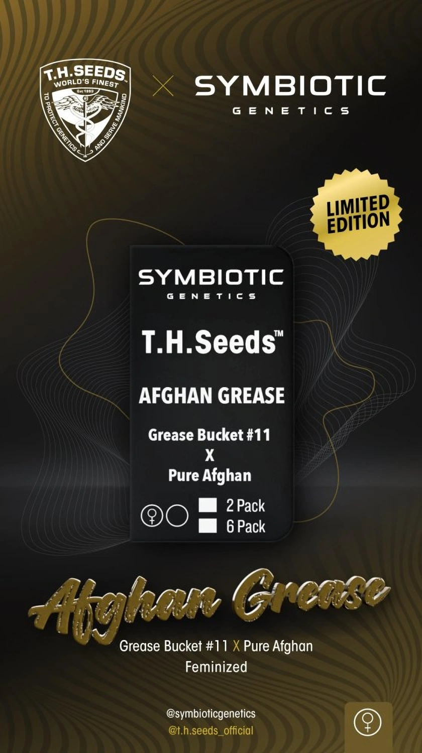 T.H.Seeds™ X Symbiotics Cannabis Seeds Afgan Grease, feminizované 2 ks