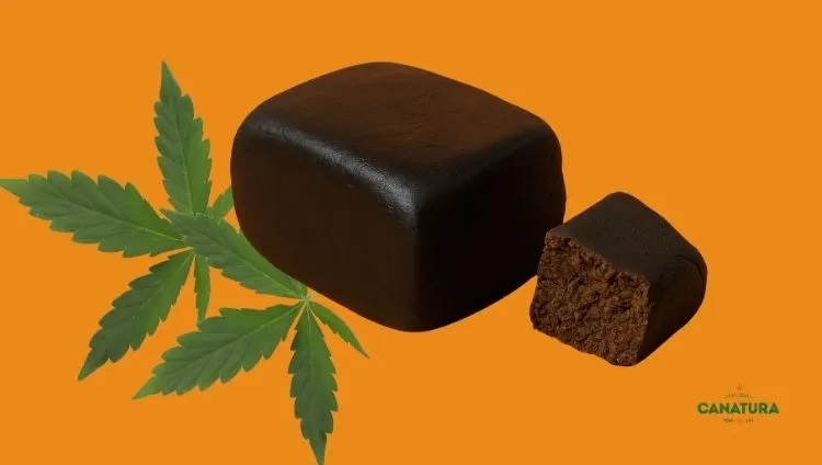 Afghan hash and cannabis leaves on an orange background, with the Canatura logo at the bottom right