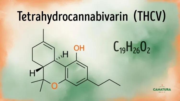 Tetrahydrokanabivarin THCV