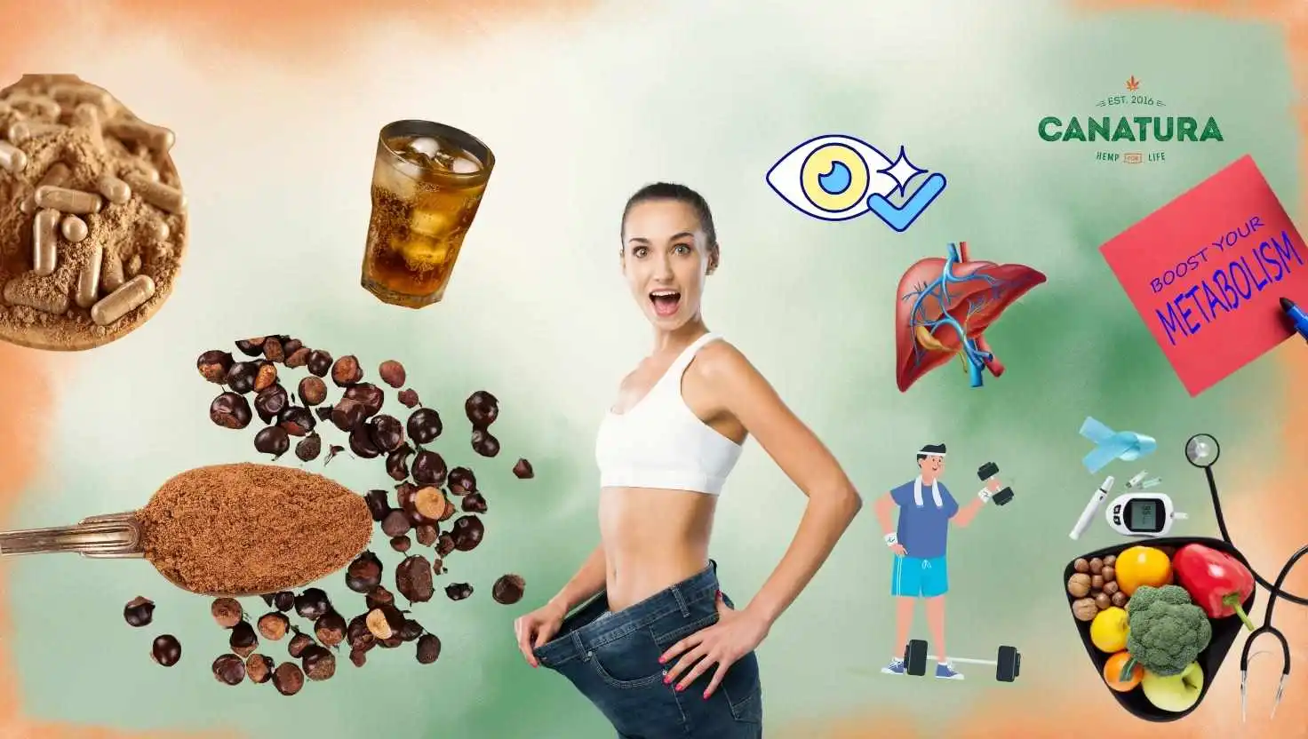 Effects of guarana – illustrations of improved vision, healthy liver, faster metabolism, help with diabetes and weight loss. Guarana in powder, capsule and drink form on a background with the Canatura logo