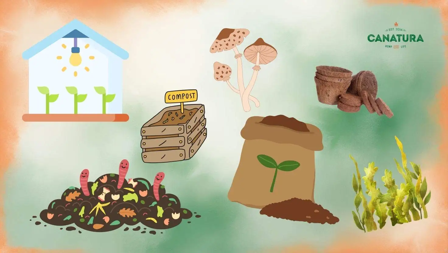 llustration of ideal soil and natural supplements for indoor cannabis cultivation – compost, vermicompost with earthworms, mushrooms, seaweed, coconut pots, a bag of soil and a greenhouse with seedlings under artificial lighting