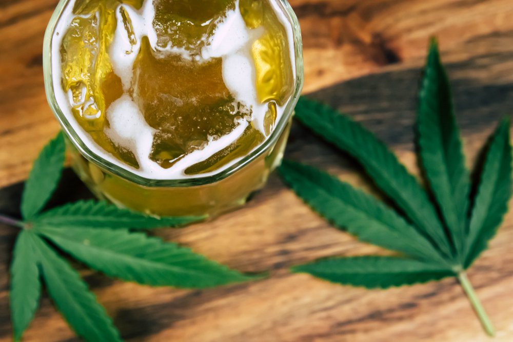 A refreshing glass of hemp iced tea with ice cubes and hemp leaves – the ideal drink for summer relaxation and natural refreshment.