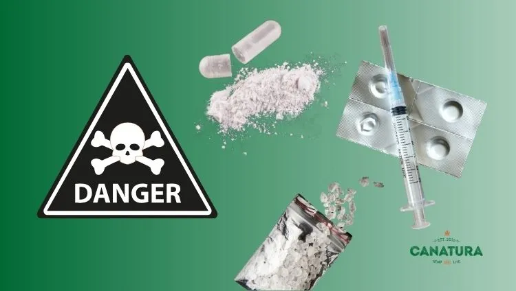 Synthetic drugs – capsules, powder, crystals, tablets, syringe, and warning symbol on a green background, accompanied by the Canatura logo