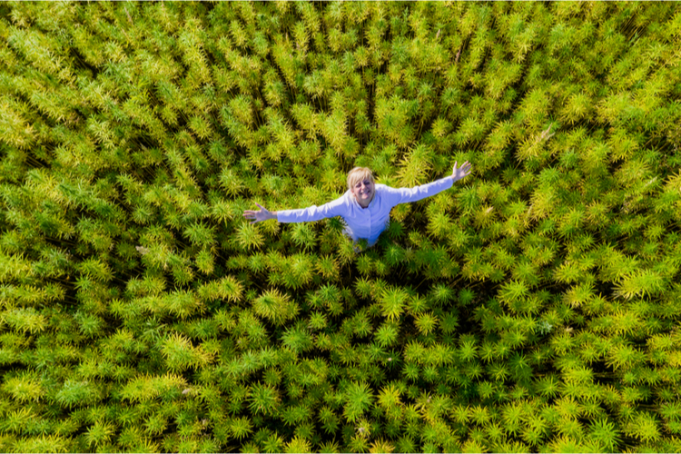 https://www.canatura.com/images/shutterstock_1520307200_web.jpg