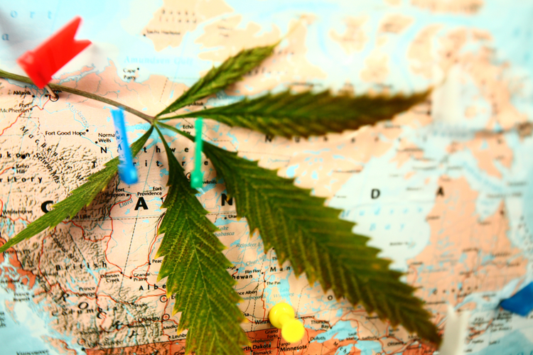 A map showing Canada with a cannabis leaf on it