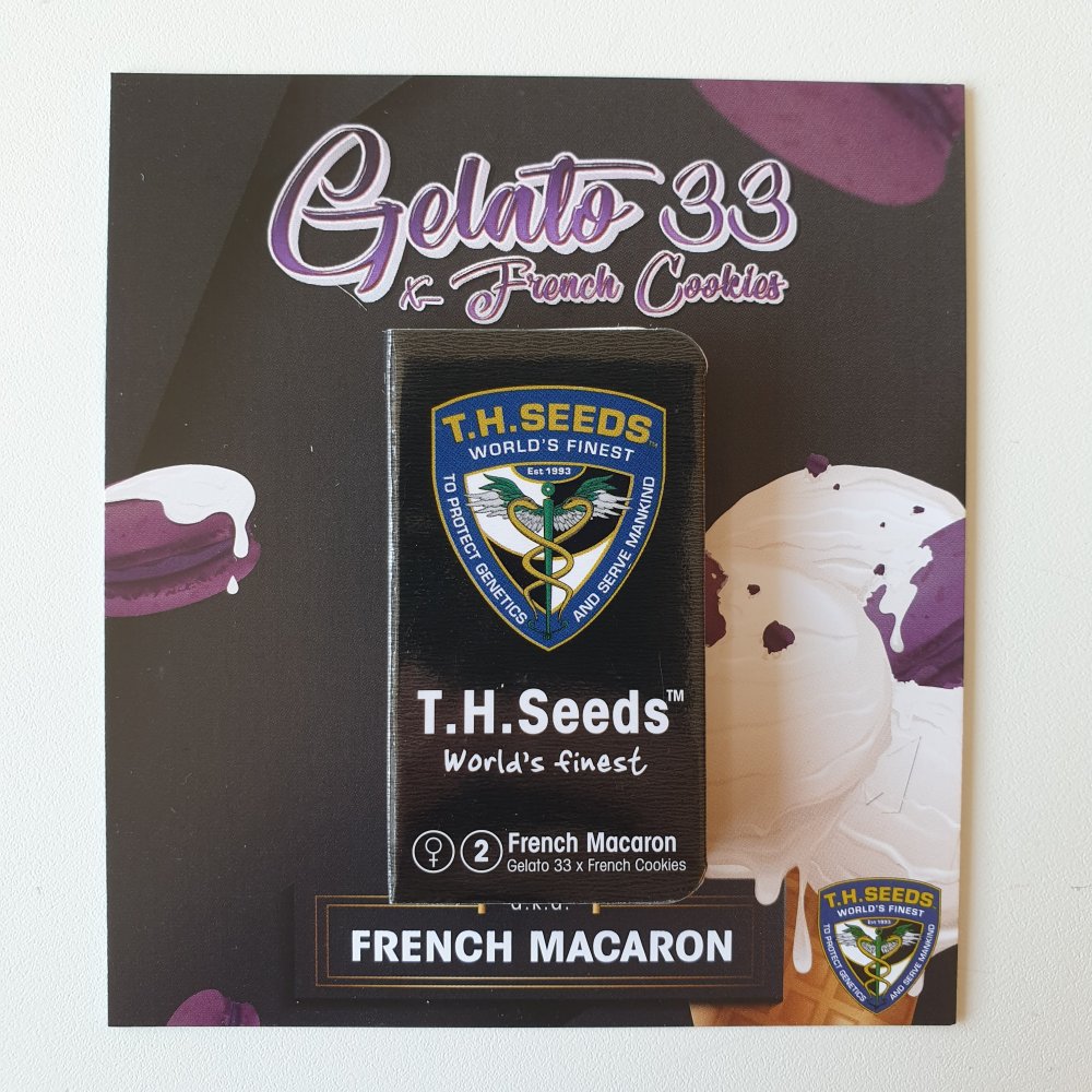 T.H.Seeds™ Semená kanabisu Francúzske makaróny, rôzne balenia, feminizované 2 ks