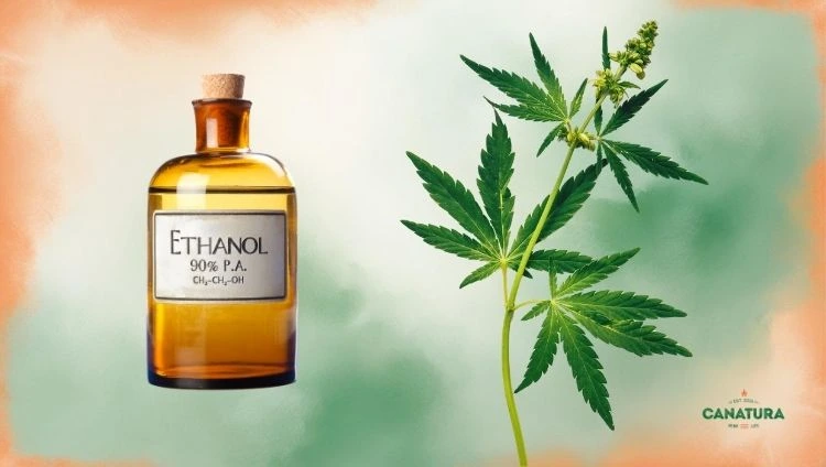 Ethanol extraction, a bottle of ethanol and a cannabis leaf, Canatura logo in the bottom right