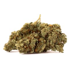 Euphoria T9HC Persikų rūko gėlės didmeninė pakuotė, 100 g
