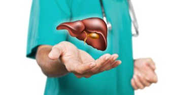 CBD pri ochorení pečene (NAFLD & AFLD)