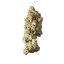 Royal Queen Seeds Cannabis Seeds Shining Silver Haze Feminized