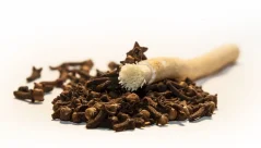 SIWAK Natural toothbrush without case - Clove