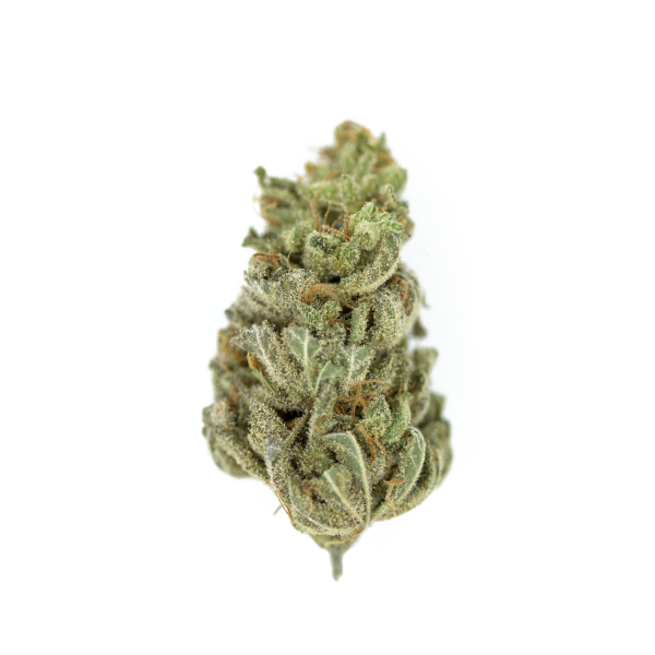Royal Queen Seeds Cannabis Seeds Amnesia Haze Feminized