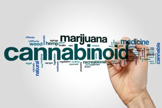 THCP – nov kanabinoid