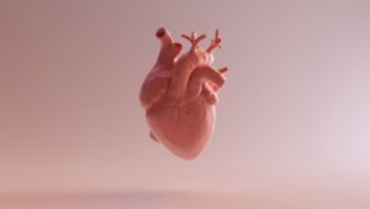 Three benefits of CBD to protect the cardiovascular system with evidence  (including CBD side effects)