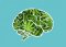 How cannabis works: Endocannabinoid system in detail