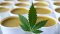 Homemade hemp ointment