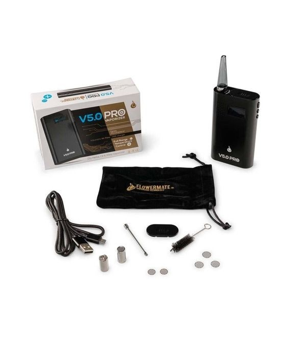 Flowermate V5.0S Pro vaporizer - Blue