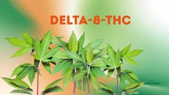 Delta-8-THC: učinki, tveganja in zakonodaja
