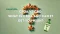 A picture of orange cannabis leaves arranged in a question mark shape on a light green background, accompanied by the text "CBDA vs CBD: What is CBDA and can it get you high?